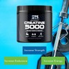 STS Creatine 300 Grams - 100% Pure Raw Creatine Monohydrate