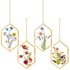 Qunclay 4 Pcs Glass Pressed Flower Frame Hexagon Glass Frame for Pressed Flowers with Chain Double Floating Picture Geometric Wall Decor for Photo Picture Poster in Home Gallery, 4 x 6 in