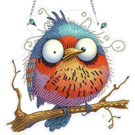 VODAPYC Funny Bird Diamond Painting Acrylic Hanging Kits for Adults, DIY Double Sided Special Shaped Diamonds Art Window Pendant Ornament for Home Decor(Abstractly Bird)