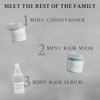 Davines Minu Conditioner, 2.5 fl. oz.