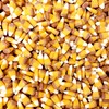 Candy Retailer Caramel Candy Corn 1 Lb