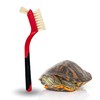 Turtle Cleaning Brush - Gently Remove Dirt from Turtles and