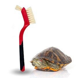 Turtle Cleaning Brush - Gently Remove Dirt from Turtles and Tortoises - Red by Snout and Shell