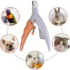 Professional Pet Nail Clipper Scissors With LED Light Cat Dog