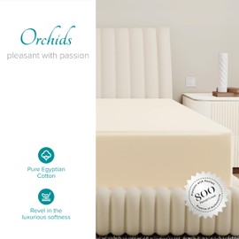 Carressa Linen 100% Egyptian Cotton Deep Pocket Twin XL Fitted Sheet Only - 800 Thread Count Luxury Hotel Cotton Fitted Sheet, Sateen Weave Cooling Bottom Sheet, Fits Mattress up to 18 in - Ivory