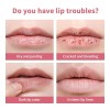 does not apply 2PCS Honey Lipstick Tinted Lip Balm -