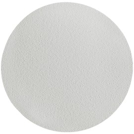 Whatman 1825-021 Glass-Fibber-Filters (Pack of 100)