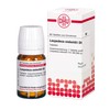 DHU Lespedeza sieboldii D6 Tablets, Pack of 80 Tablets