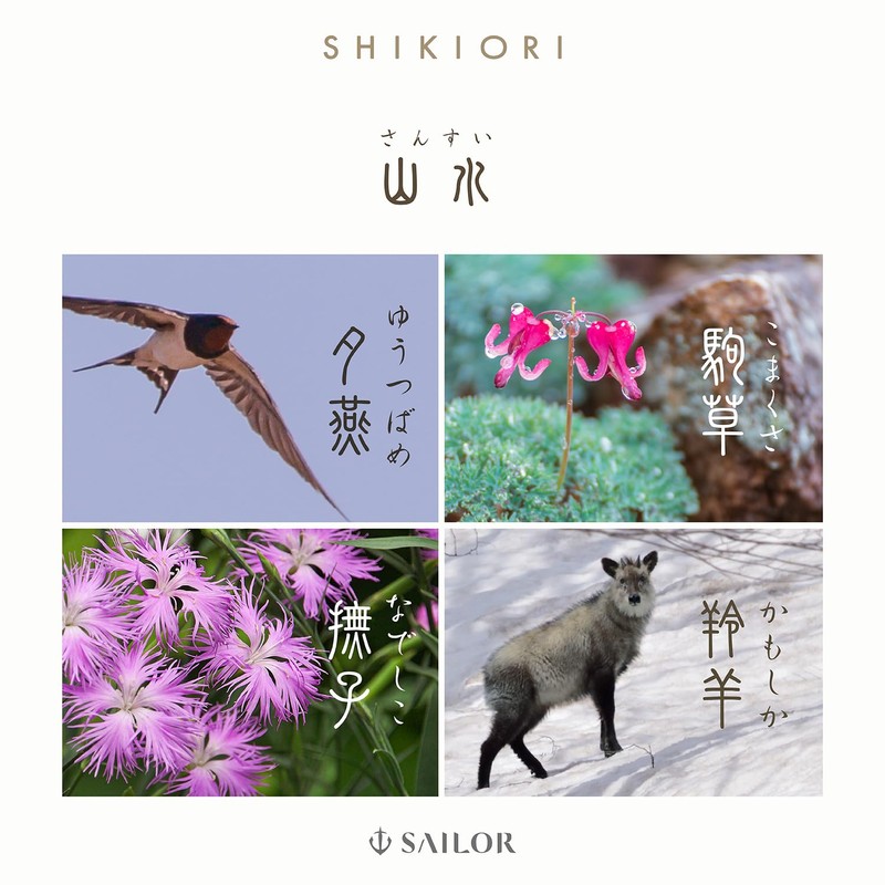 SHIKIORI 16-0601-204 Sailor Fountain Pen, Oil-based Ballpoint Pen, Impala