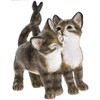 Tabby Twin Kittens Figurine With Intertwining Tails, Cat Studies By The Leonardo Collection, 8x7cm Approx
