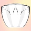 Full-face safety glasses, face guard, safety goggles, impact protection / 풀페이스 보안경 페이스가드 안전고글 충격보호