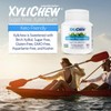 Xylichew 100% Xylitol Chewing Gum - Non GMO, Non Aspartame,