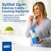Epic 100% Xylitol Spearmint Chewing Gum - Sugar Free, Aspartame