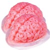 Brain Gelatin Mold Standard 2 Pack (2)
