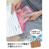 CB Japan DSK Foodman Lunch Box, Mint Green, Thin, 13.5