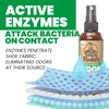 Uncle Todd's Odor Stomp Shoe Deodorizer 2-Pack - Proven &