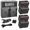 Kastar 4-Pack BP-950GPro Battery and AC LCD Dual Fast Charger