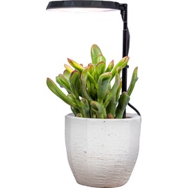 AeroGarden Stem Grow Light for Indoor Plants, Grow Live Plants Anywhere in The Home, Adjustable Light Modes, Black (Only Light)