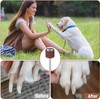 Lija para amoladora de uñas de perros LXUEJIE 42 piezas