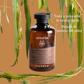 Apivita Shampoo Anticaspa grasa 250ml - Tratamiento anticaspa natural para cuero cabelludo graso, graso y escamoso - Alivio del picor del cuero cabell