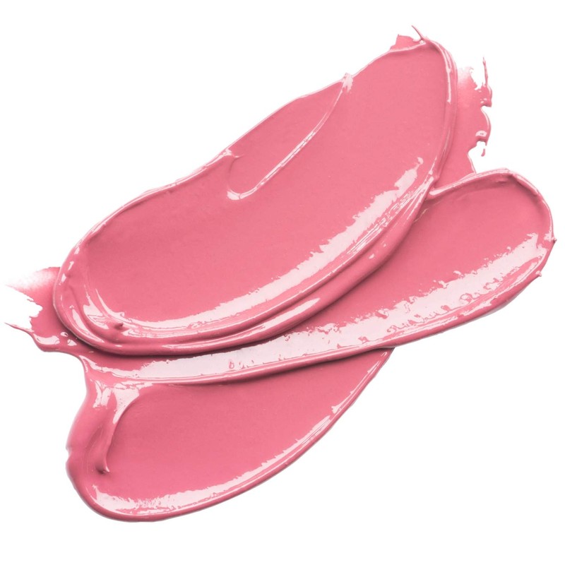 Burt's Bees 100% Natural Moisturizing Gloss Lip Crayon, Pink Lagoon