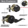 Probrico Entrance Lever Door Handle, Reversible for Right and Left