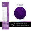 Ion Permanent Brights 2.05oz Semi-Permanent Intensive Shine Creme Hair Color