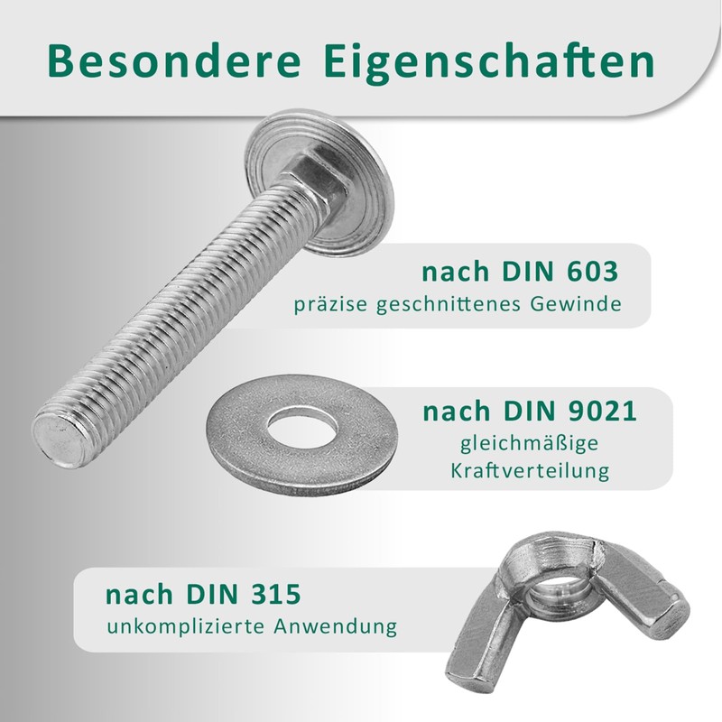 DSM – Schlossschrauben M6 x 20 mm nach DIN 603