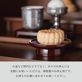 Wilmer 商事 Offerings Candy Chrysanthemum Even in