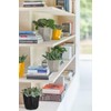 elho B.for Rock 14 - Flower Pot for Indoor -