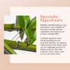 Erborian Bamboo Creme Frappee 50ml