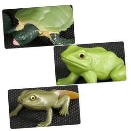 FELTECHELECTR 2 Sets Animal Growth Stage Models Simulation Frogs Turtle Display for Parent Interaction Aesthetic Photo Props and Educational