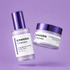 [2-piece set] Merable Use Cerable 2X Volume Fill-in Ampoule 55ml