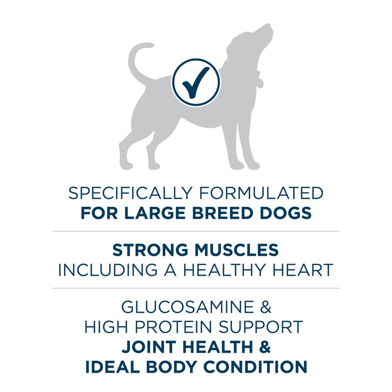 Purina ONE Plus Large Breed Adult Dog Food Dry Formula,