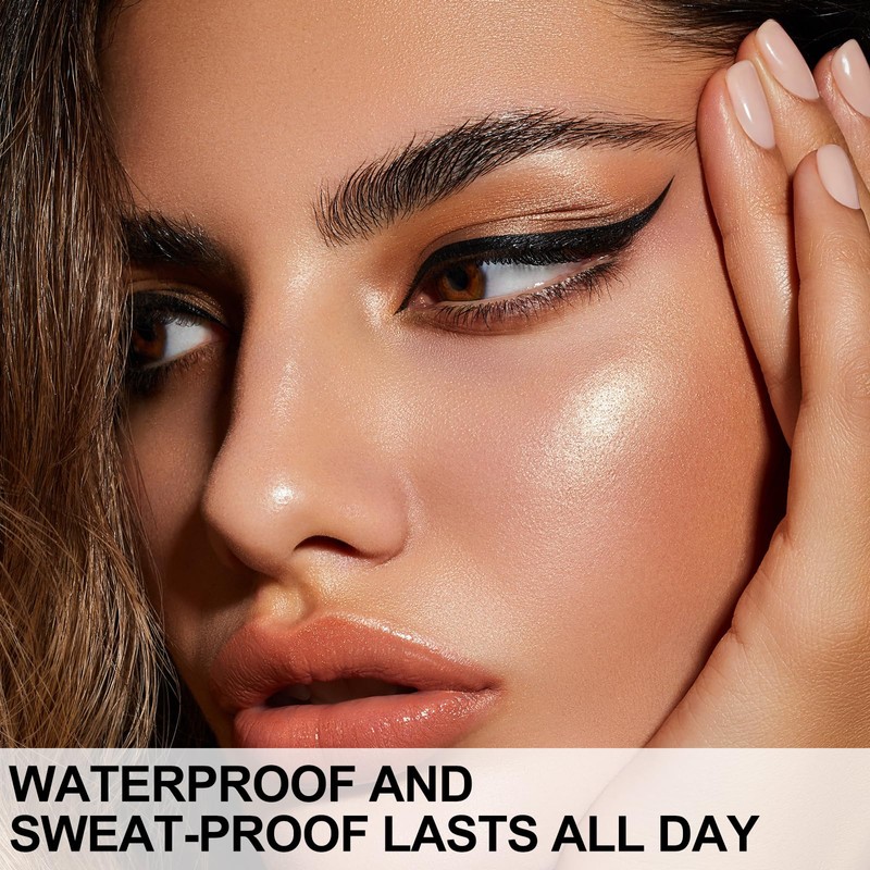 Apooliy Liquid Eyeliner with Eye Liner Stencils,Waterproof Eyeliner Pen with