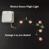 CIC SHOW Motion Sensor Night Lights Plug Into Wall, 2