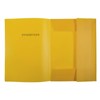 Idena 10021 Polypropylene DIN A4 Mail Folder with Elastic Band,