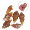 BESPORTBLE Educational Specimen Model 6 Pack Agate Snail Ancient Specimen