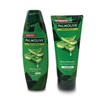 Palmolive Shampoo and Conditioner Set - Healthy & Smooth Aloe