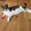 SPOT Shimmer Balls Cat Toys - Fun Balls with Rattle