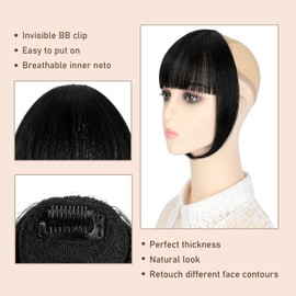 Clip in Bangs Hair Extensions Hair Clip on Wispy Bangs Hair Fake Bangs Clip in Human with Temples Hairpieces for Women Natural Wigs Bangs Clip