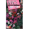 Takii Seedlings Nadeshiko F1 Telstar Mixed