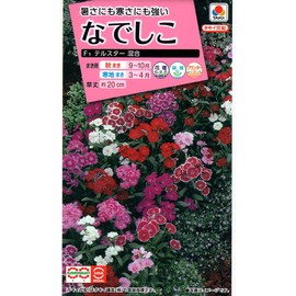 Takii Seedlings Nadeshiko F1 Telstar Mixed