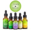 Essential Oil