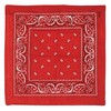 Red Bandana Party Accessory (1 count)