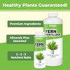 Fern Fertilizer for All Ferns and Mosses, Liquid Plant Food