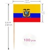 100 Pcs Ecuador Toothpick Flag Ecuadoran Small Mini Cocktail Fruit