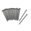 3B Scientific U8497331 Melt Experiment Nails (Pack of 20)