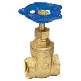 Homewerks 170-2-1-1 Lead Gate Valve, x Female Thread, Brass, 1-Inch, 1 Inch