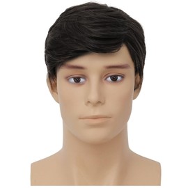 Siudus Black Short Wigs for Men Straight Layered Synthetic Fibre Hair Wig for Daily Party Use